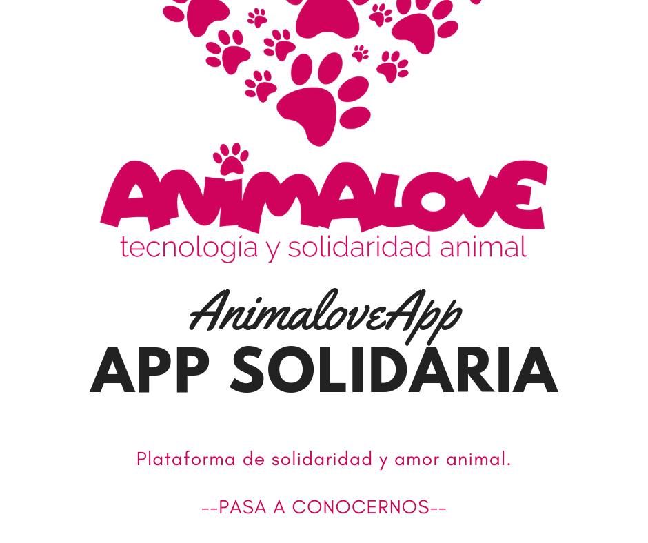 AnimaLoverApp's tweet photo. Tras el verano las protectoras no dan a basto y necesitan cualquier tipo de ayuda. Así surgió la idea de Animalove. Una app que, además de ayudar a crear lazos de adopción, ayudará económicamente a las mismas.
¿Aún no nos conoces?

APP: https://t.co/bYRFI8QFRy https://t.co/aDUUB4hqCZ