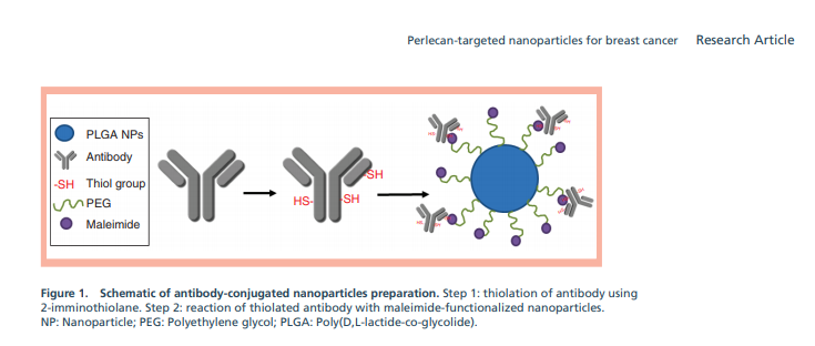 Science_Open's tweet photo. ‘#Perlecan-targeted #nanoparticles for #drugdelivery to triple-negative #breastcancer’ a new #openaccess @fsdrugdiscovery article on #ScienceOpen: https://t.co/EevAPwFFmh https://t.co/zfgCb7AYDH