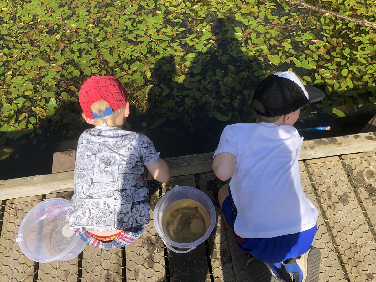 K_L_Katie's tweet photo. Who knew I could learn so much whilst exploring the woods and going pond dipping! My children introduce me to something new everyday 😁 seeing the world through their eyes is much more exciting!! #exploring #habitats #learningfromthem #annualleave #outdoorplay https://t.co/Cm4Ohn5O0s