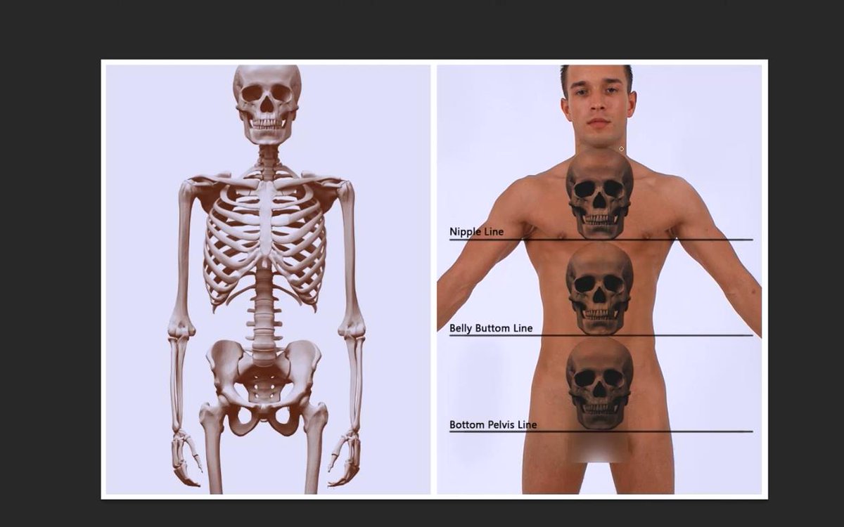 Wingfoxworkshop's tweet image. Human Body Modeling Tips
learn more：dwz.cn/l8qmNQAT
人體建模參考身長
了解更多人體建模基礎知識：
#3dmodeling #bodymodeling #characterdesign #ZBrush #Maya #gamecharacter #VFX