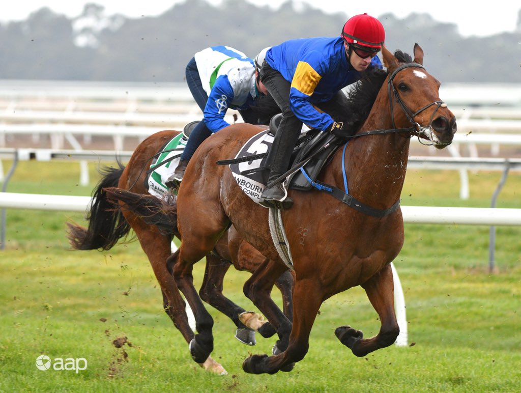 Vinnycenzo_71's tweet photo. #SpringTrials🐎 @CranTurfClub https://t.co/lN4y5MX3B6