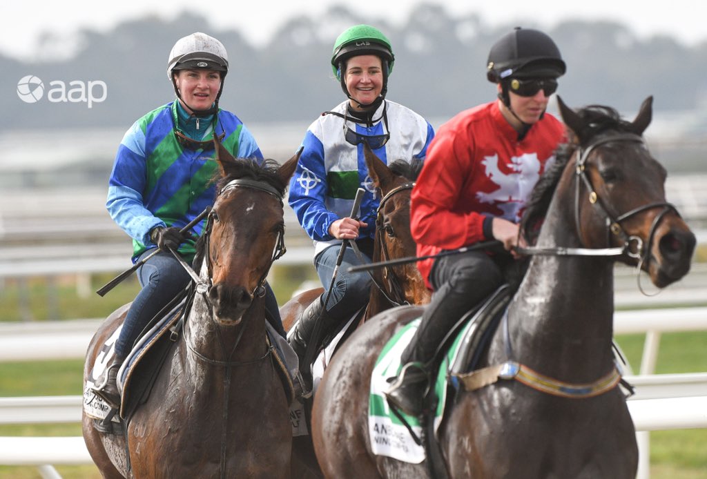 Vinnycenzo_71's tweet photo. #SpringTrials🐎 @CranTurfClub https://t.co/lN4y5MX3B6