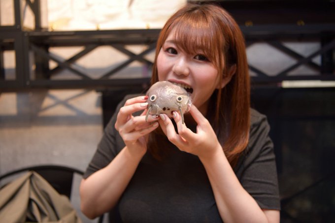 ゆーみん17 ファミ通さん の人気ツイート 1 Whotwi グラフィカルtwitter分析 ゆーみん17 ファミ通さん の人気ツイート 1 Whotwi グラフィカルtwitter分析