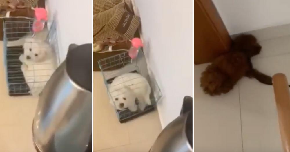 Mothership.sg on Twitter "Chinese man films himself pouring boiling