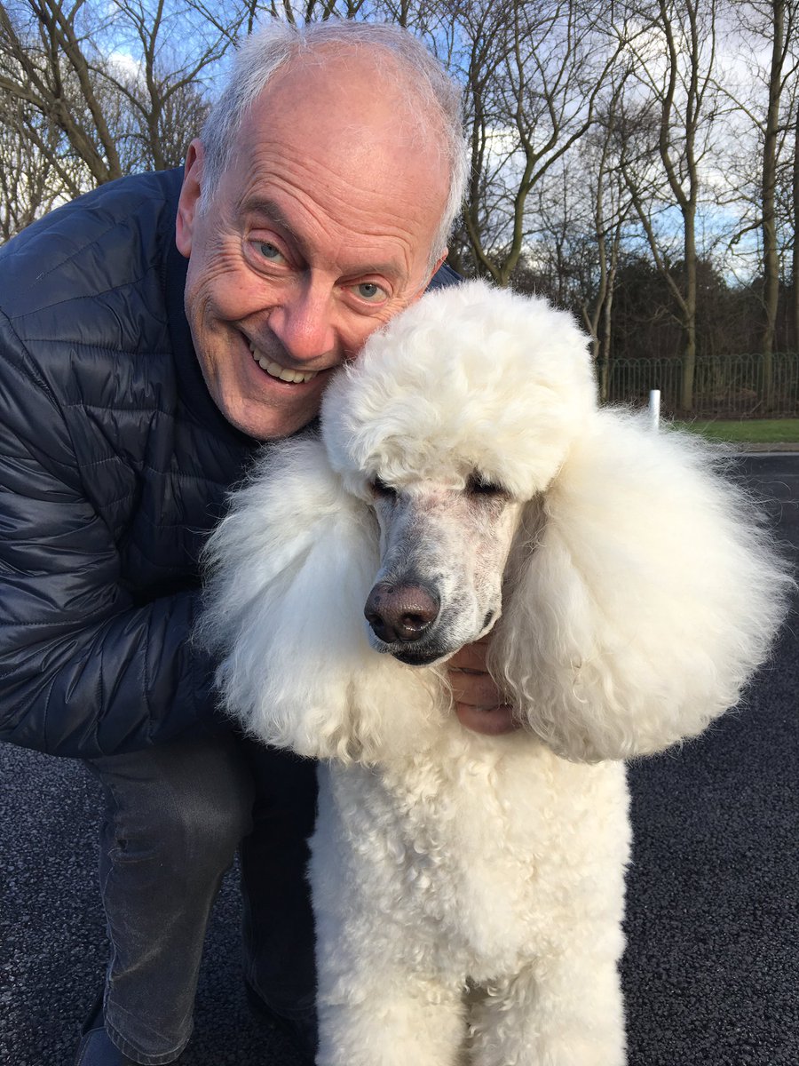 Gyles Brandreth Pa Twitter As Borisjohnson Unleashes His Dogs Of War Brings A Lovely Little Jack Russell Into Downing Street Let Me Present My New Best Friend A French Poodle Called