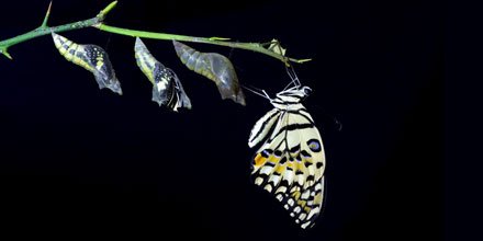 NautaDutilh's tweet image. The law is not set in stone and evolves over time, this means we can find ourselves on new battle-grounds, resulting in new case law and legislation. Law as an instrument for change: nautadutilh.com/en/our-stories…
#295yearsofadaptivethinking #legalmastery #adaptivethinking #nautadutilh