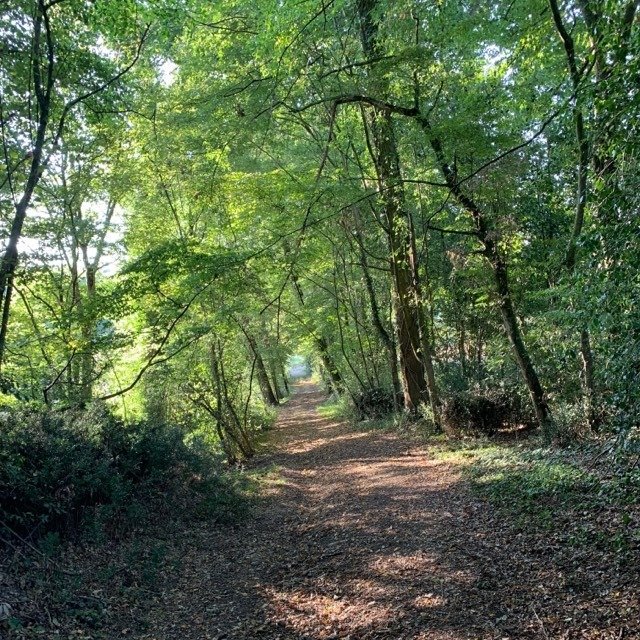 ComitefetesSMDL's tweet photo. Dimanche... La Locquenaysienne 2019 !

Rando Pédestre et V.T.T | 8ème édition. 
🚩17 segments Strava.➕ d'infos : https://t.co/cZWym01Bzk

#RandoSMDL #Sarthe #MondayMotivaton #VTT https://t.co/12sXoqO9d7