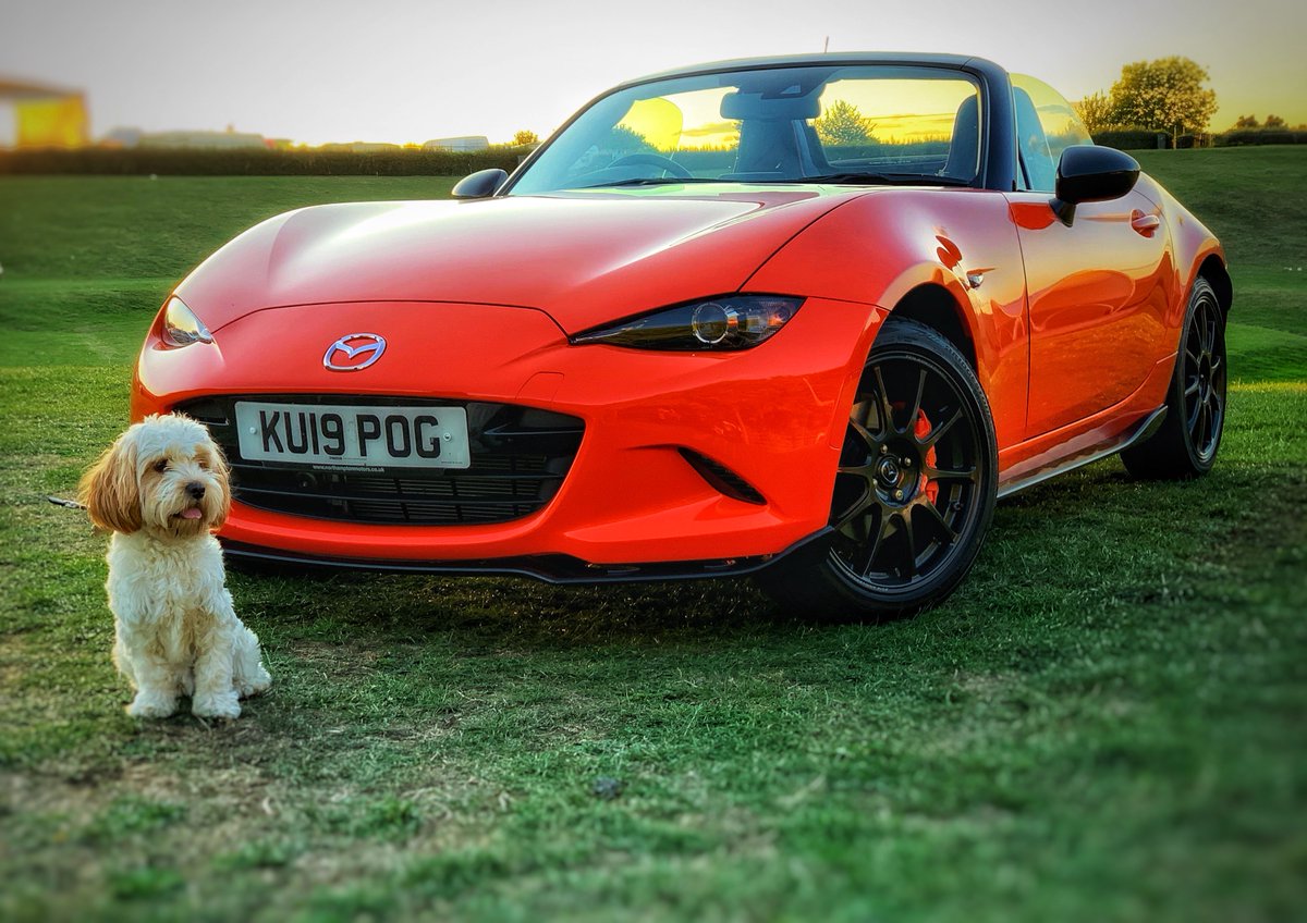 NorthamptonMtrs's tweet photo. POG Vs Pug! 🐶
Comment with a picture of your pet with your Mazda!
#Mazda #MX5 #Dog #Pug #Pet #30YearsOfMX5 #30thAnniversary
https://t.co/KiByBccARd https://t.co/3McqPbKKui