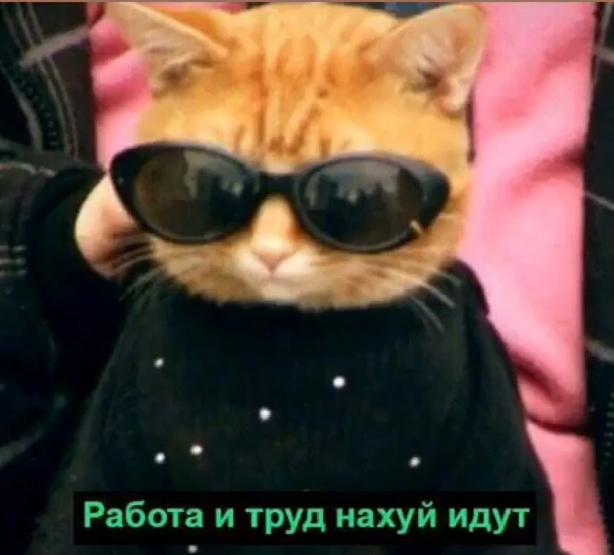 Первый день учёбы: ВЕСЬ ГОД БУДУ ХОРОШО УЧИТЬСЯ ЧТОБ ХОРОШО СДАТЬ ЭКЗАМЕНЫ

Второй день учёбы: