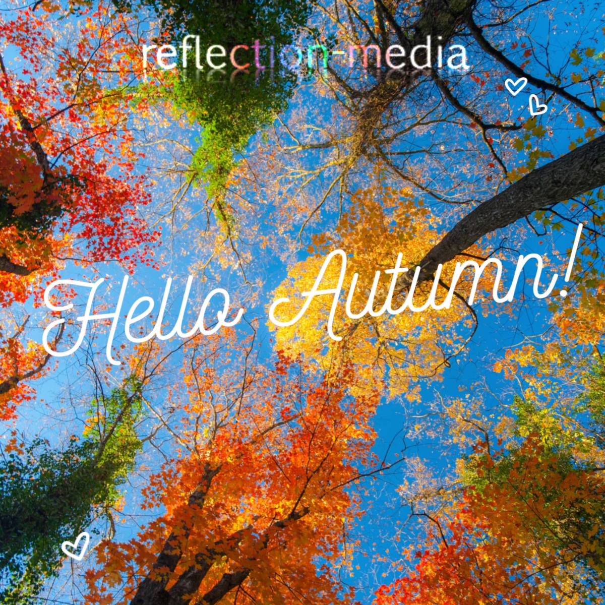 MediaReflection's tweet photo. After the heat of the summer, looking forward to seeing the colour that autumn will bring and how we can apply that in our design. #ReflectionMedia https://t.co/OkrFg6Q8rQ