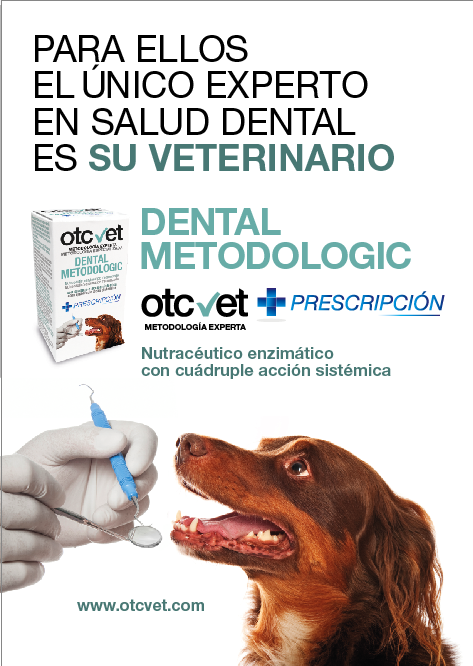 Para tu perro el único experto en #salud dental es su #veterinario. bit.ly/2XTbhEl