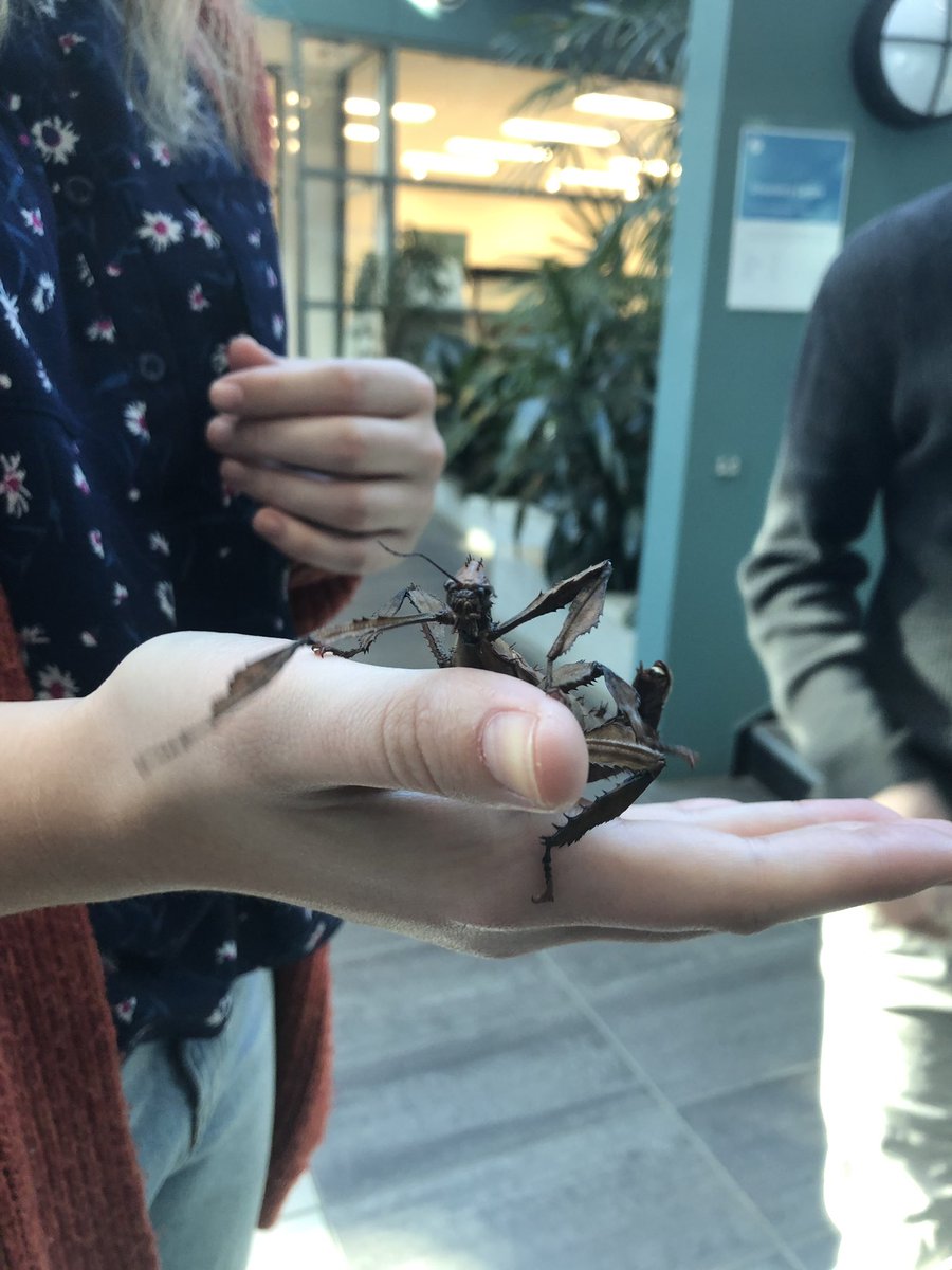 shyambarr's tweet image. Experiential learning in action! Today my #PSTs and I visited @CSIRO. They engaged their innovative mindset, coded robots, learnt about stick insects, and played volleyball on the moon (Virtual Reality) 🙌🏾What will their classrooms look like?🤔 @Davesb27 @AlexKemp47 @LHerbert99