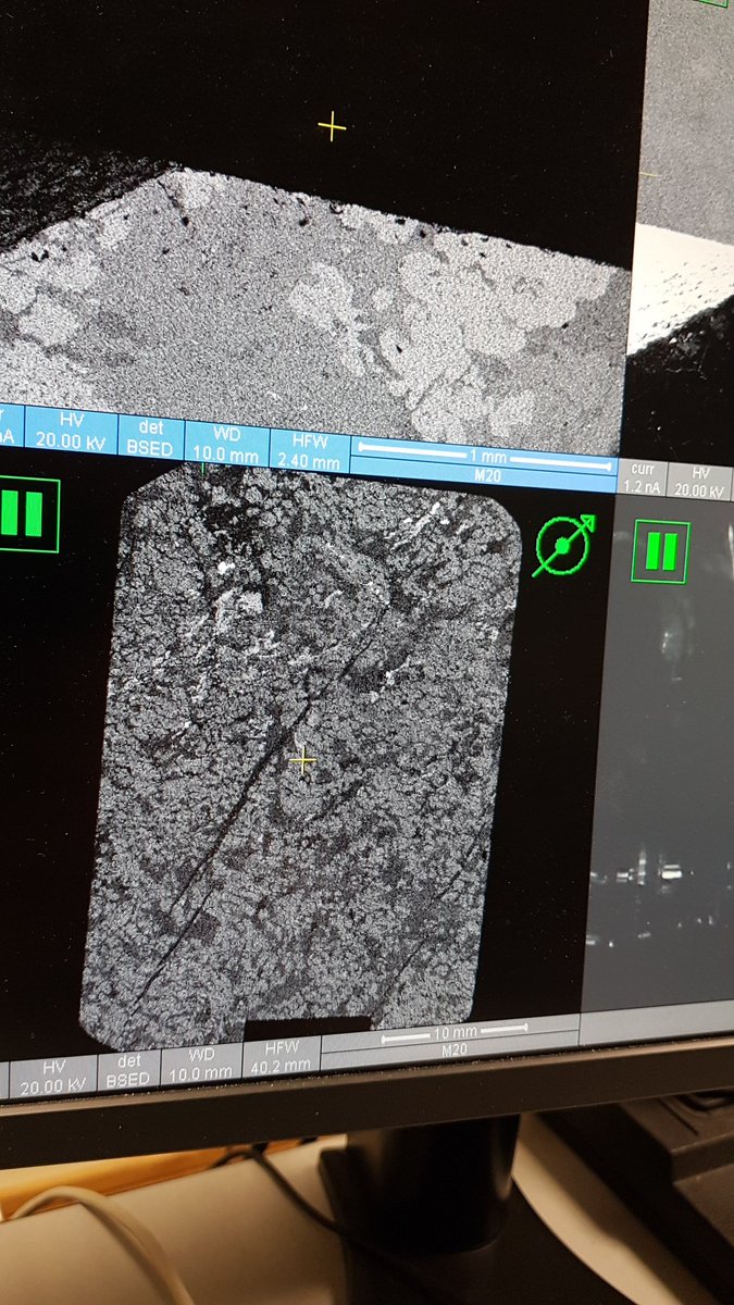 Lewis Banks tweet media