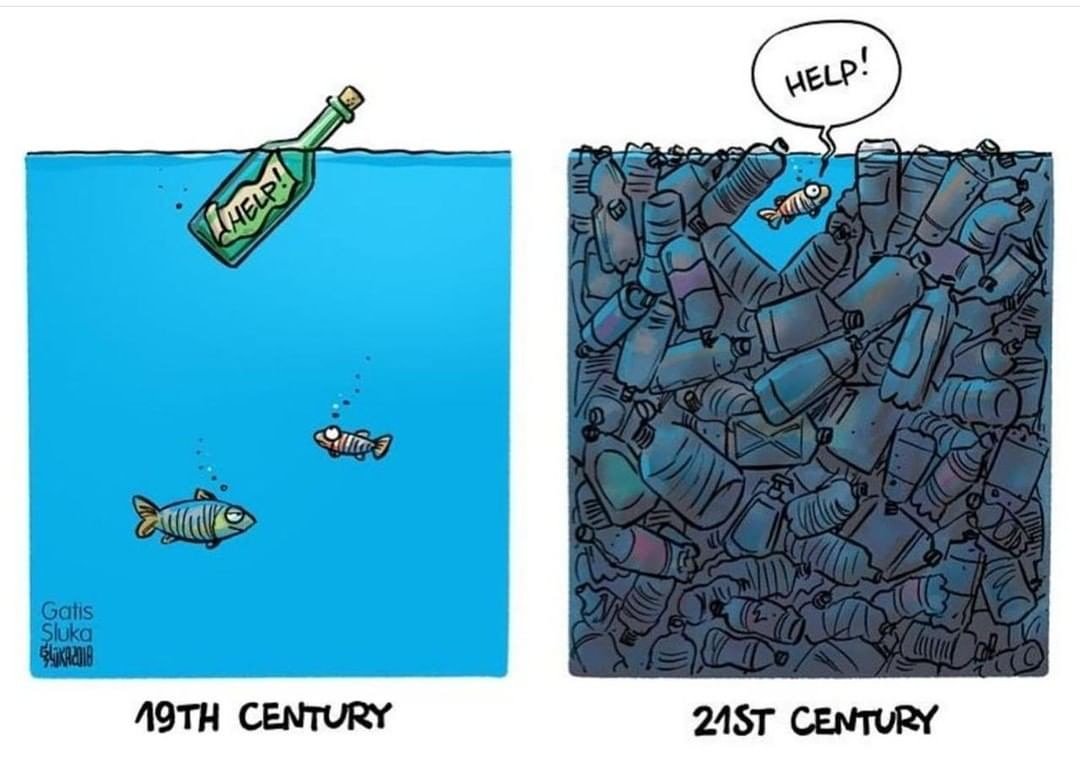 Bamboo Herb tweet media