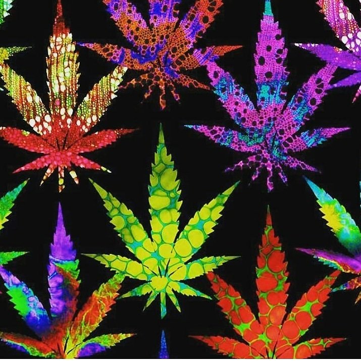 420partypeople's tweet photo. #wakenbake #weedlife #weedsociety #420partypeople #420partypeople2 #recreationalmarijuana #medicalmarijuana #mmj #inthclouds #indica. #sativa #cannabis #cbd #cbdlife #mysweetleaf #stonernation #StonerFam #hightimes #letsgethigh #staysafe #HurricaneDorian #ganja #puffpuffpass https://t.co/6I1dk08ogp