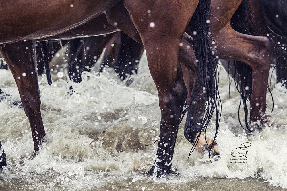 #Deauville 🖤 <a href="/DeauvilleIPC/">Deauville Polo Club</a> <a href="/DeauvilleFr/">Deauville</a> 
fossardelise.fr