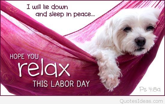 AcExcellence's tweet image. Happy Labor Day from all of us here at #Acexcellence 
Relax we here for you (954) 368-0655 
Visit us at Acexcellence.com

#airconditioning #acrepair#southflorida http//www.Alohaac.com #Acexcellence #airconditioning #acrepair#southflorida