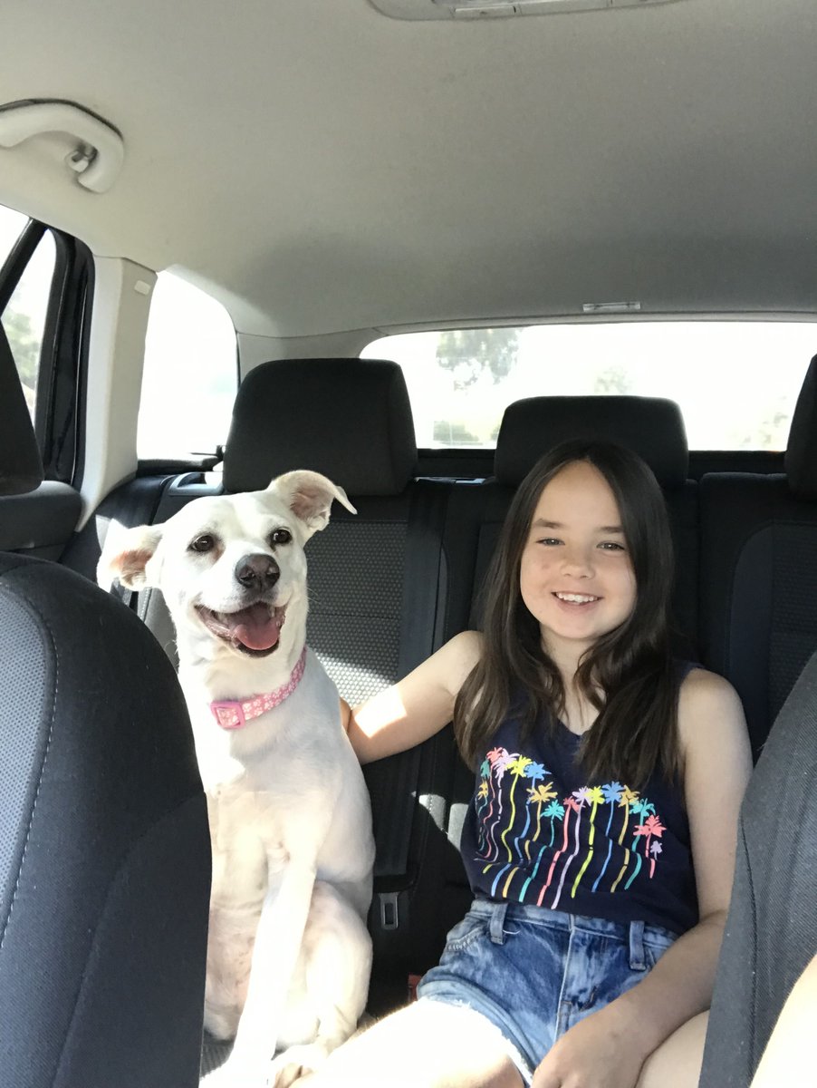 too_licky's tweet photo. Happy dog. Happy sister. #Sugar #Ryan #smiles
.
.
.
#TooLickybook #rescuedog #rescue #adoptadog #dogsarefamily #savealife #doglovers #theirlifematters #adoptdontshop https://t.co/Pf9mTS90Bb https://t.co/E1LnYXKyJc