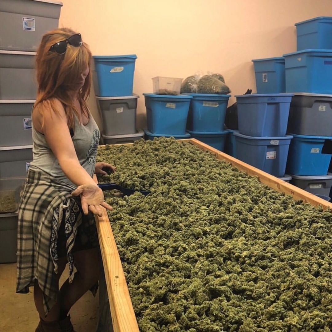 trader_cannabis's tweet photo. https://t.co/w3tlVsLBjD https://t.co/yigQbdWahb