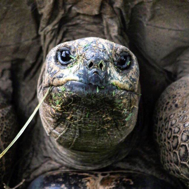 C.J. Clark (@CJclark_artist) / Twitter