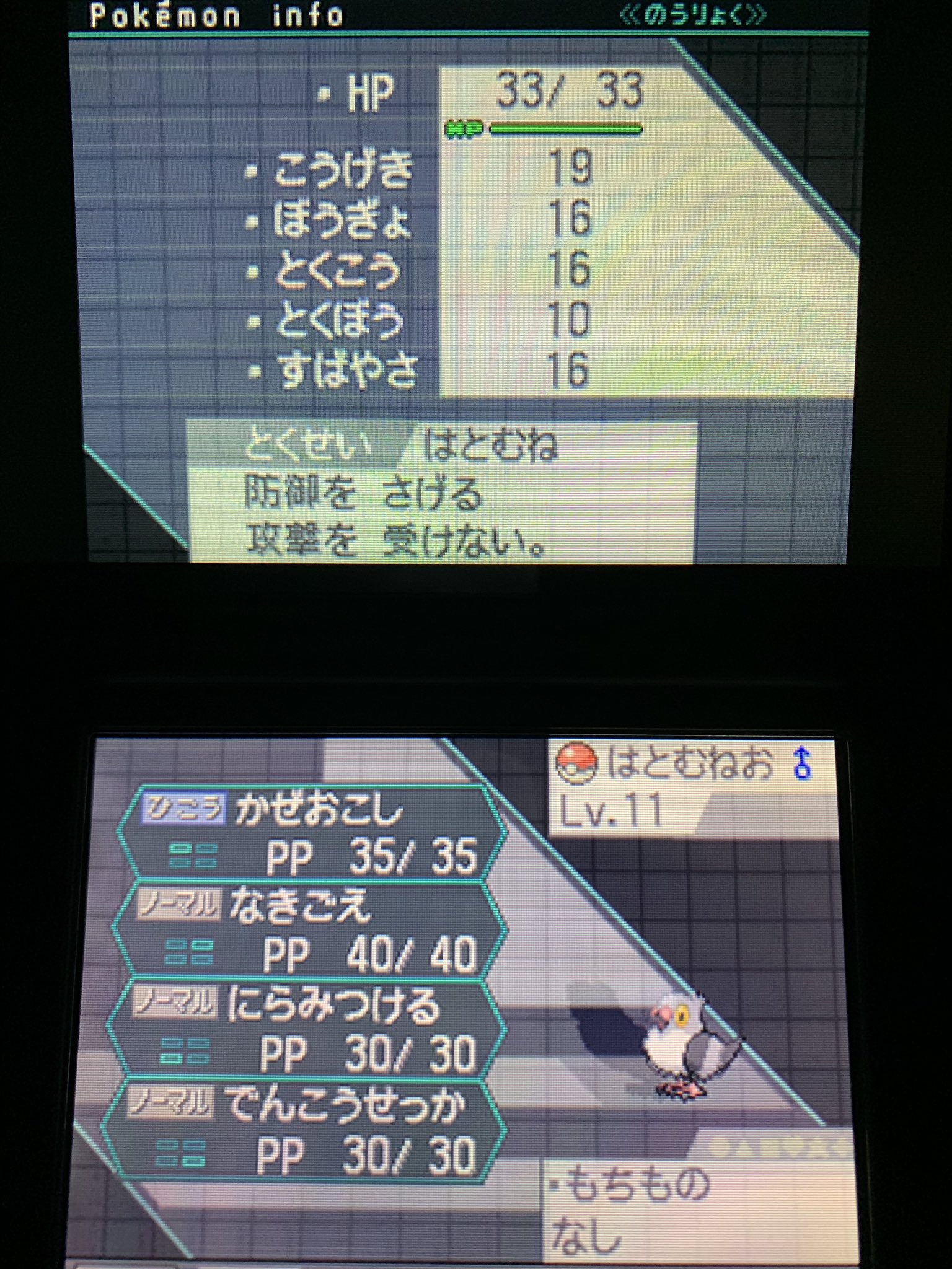C賞 うっかりや なのに 抜け目がない とか腹黒すぎるだろwはとむねお の特性が はとむね なのは偶然か はたまた必然か ポケモン 直ッ撮モンスター はとむねお T Co Ha0mkwr0vn Twitter