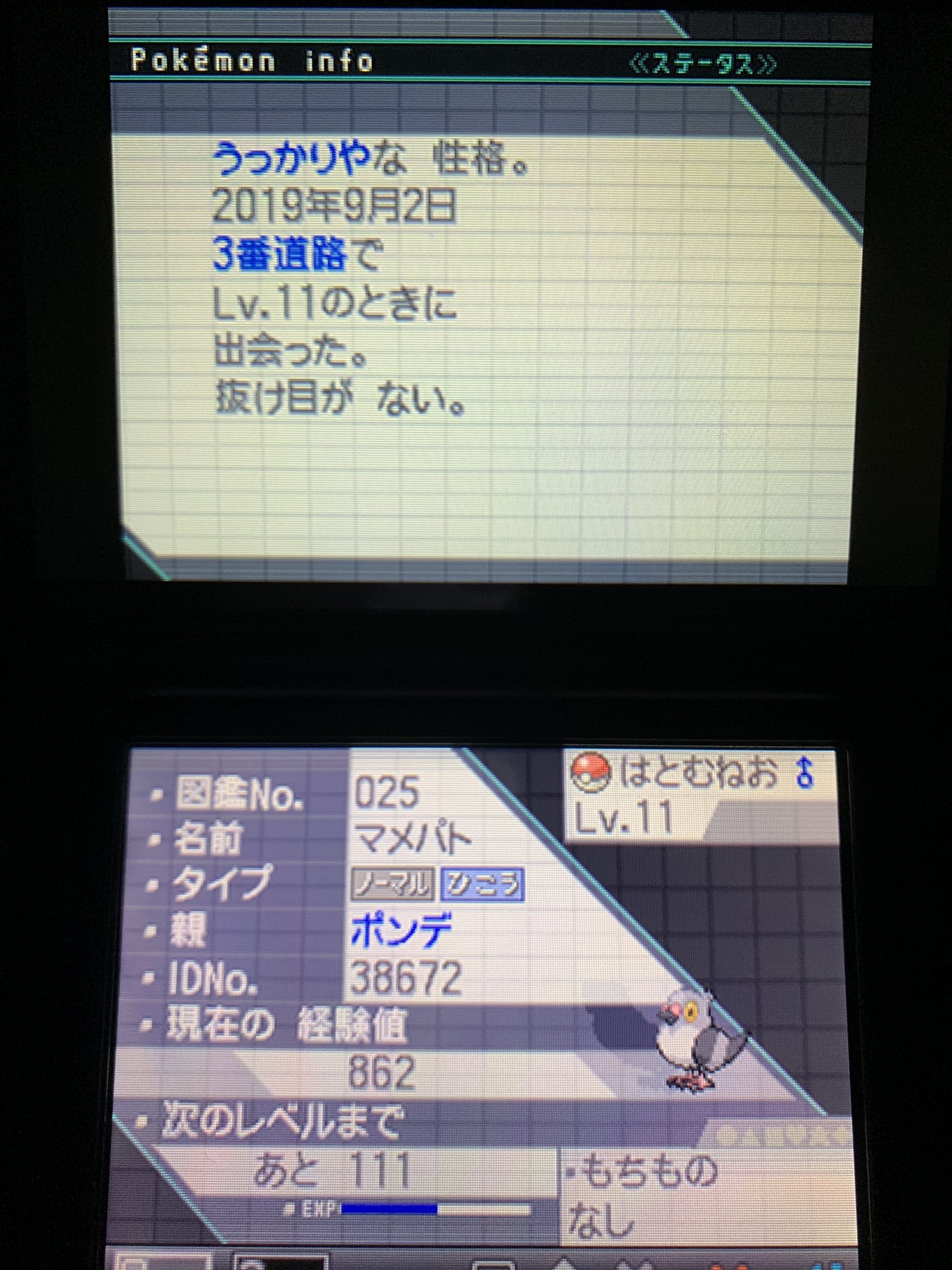 C賞 うっかりや なのに 抜け目がない とか腹黒すぎるだろwはとむねお の特性が はとむね なのは偶然か はたまた必然か ポケモン 直ッ撮モンスター はとむねお T Co Ha0mkwr0vn Twitter