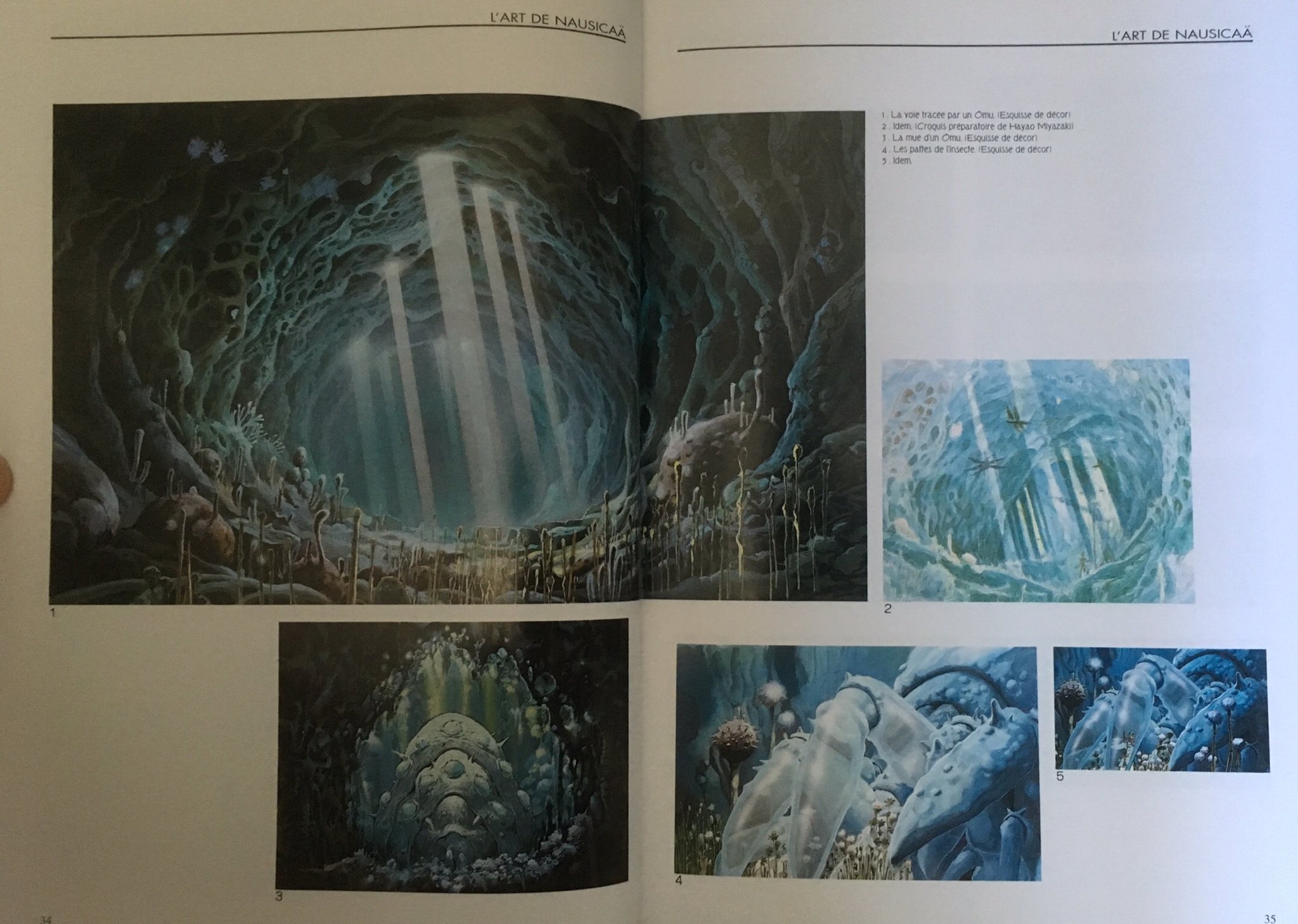 Livre : L'art de Nausicaä