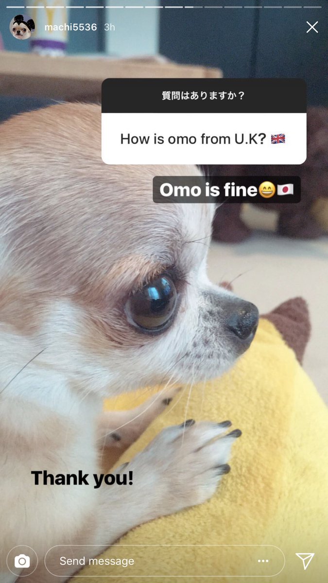 an insta story that i occasionally pull up and laugh at during rough times