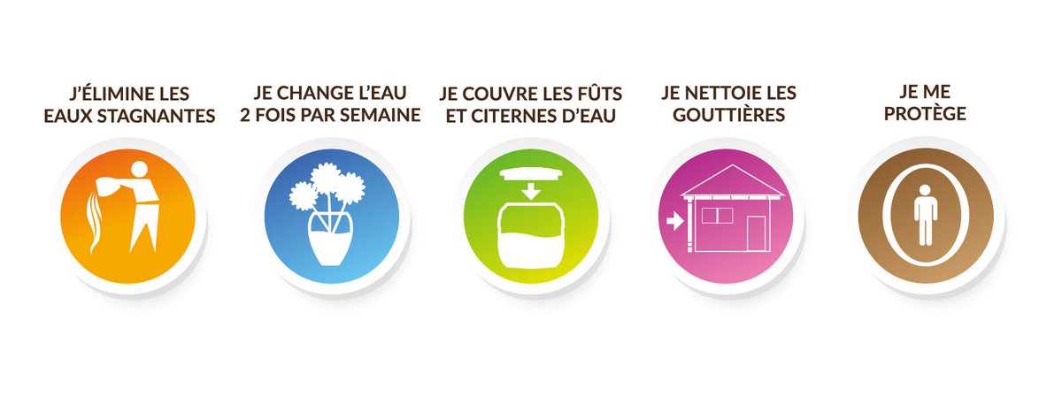 Ongplusdevie's tweet image. la lutte contre la #Dengue est l'affaire de tous ! Ensemble, agissons pour l'élimination des lieux de reproduction des #moustiques