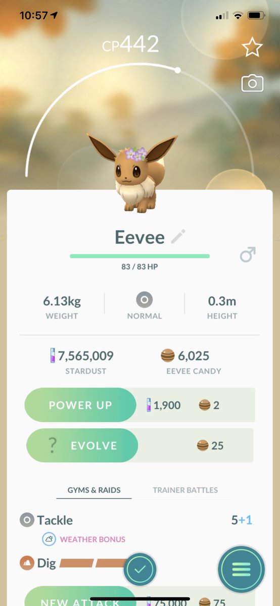 DistCarom's tweet photo. My seven-day research reward. Eevee wearing flowers. 🙄 https://t.co/zATrJjAHWF