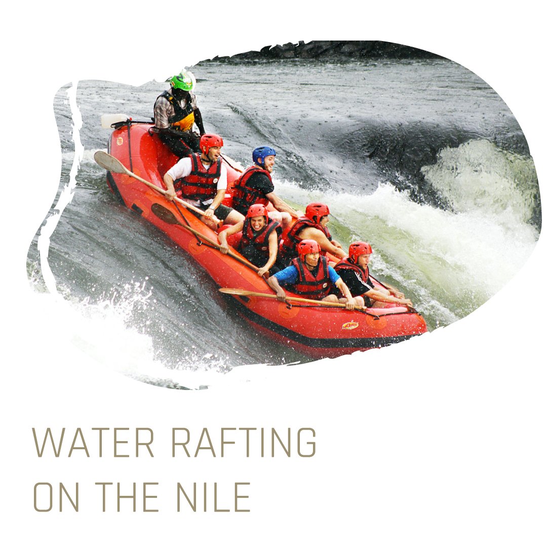 KampalaForest's tweet photo. Whether you are a first-timer, family or high adventure enthusiast, we will help you to find your perfect white water rafting adventure on the Nile.
And after such an adventure, you can immerse yourself in nature and relax from the hustle and bustle of your day at KFR. https://t.co/ZKS9oAt0XC
