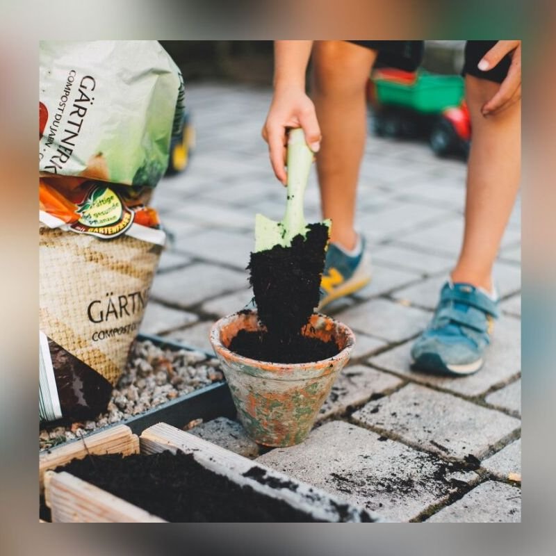 Optimuscp tweet media