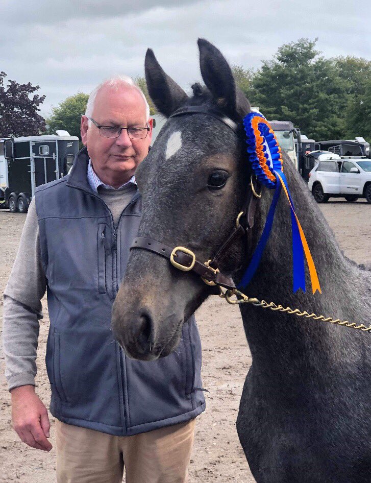 LizzieBlamire's tweet photo. Hollybushfarm Matchem awarded a Gold Merit in British Breeding Futurity on Saturday where he was also awarded an “Excellent “ mark for overall condition from the Nutritionist @PureFeed #purestud https://t.co/xiHUvBtMiH