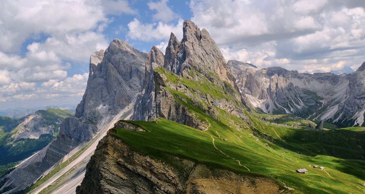 Grant McCall tweet media