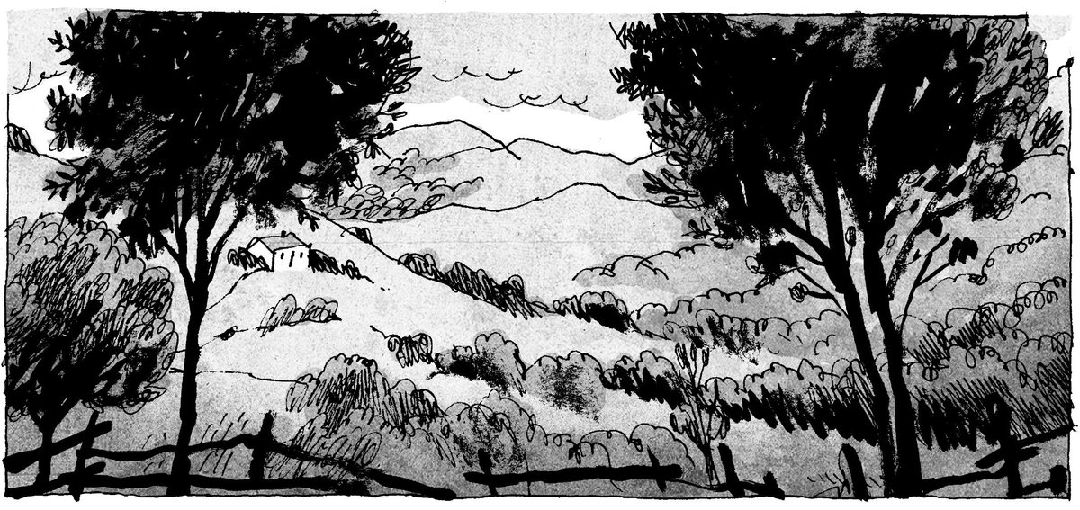alfonsozapico's tweet photo. La rentrée. #LBN3 https://t.co/6l9pYQp215
