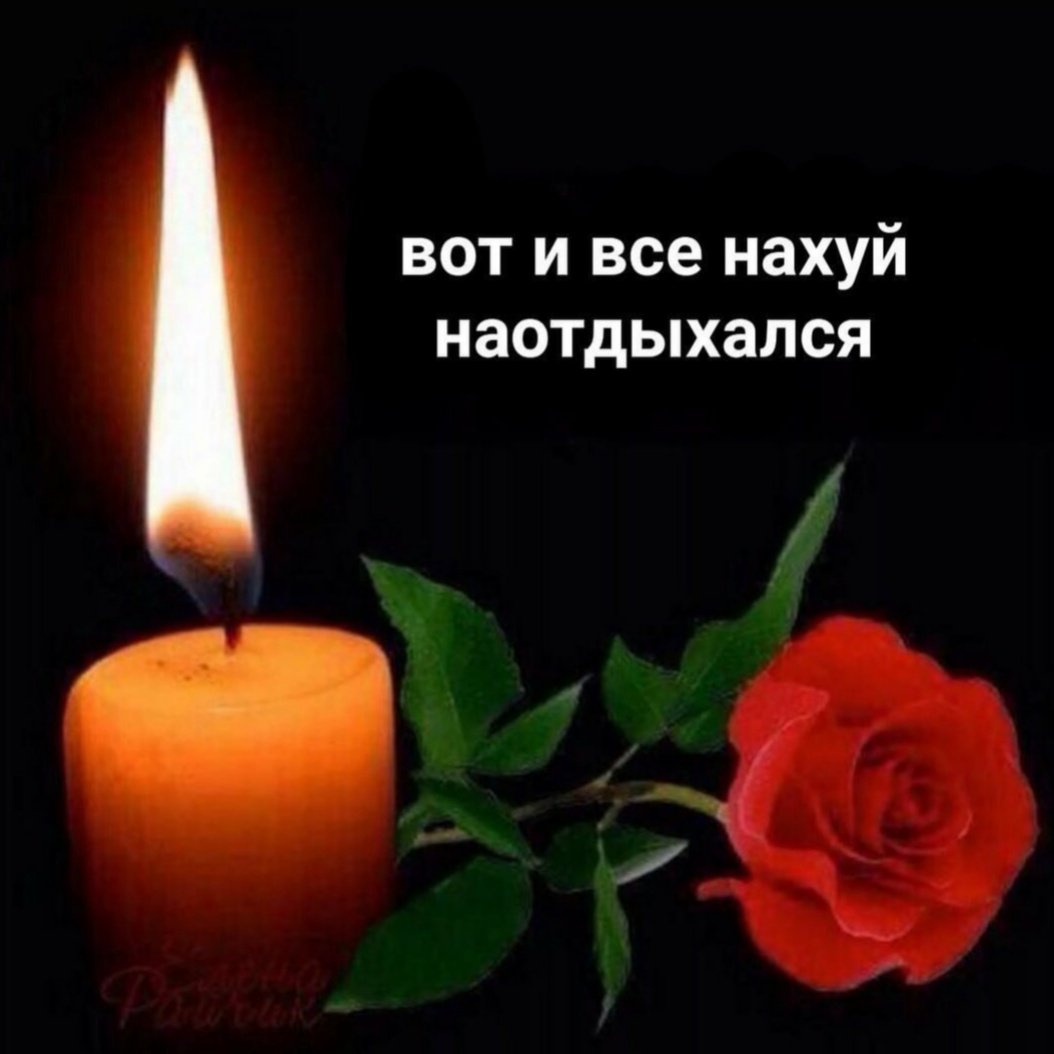 i.l.o.m.i.l.o tweet media