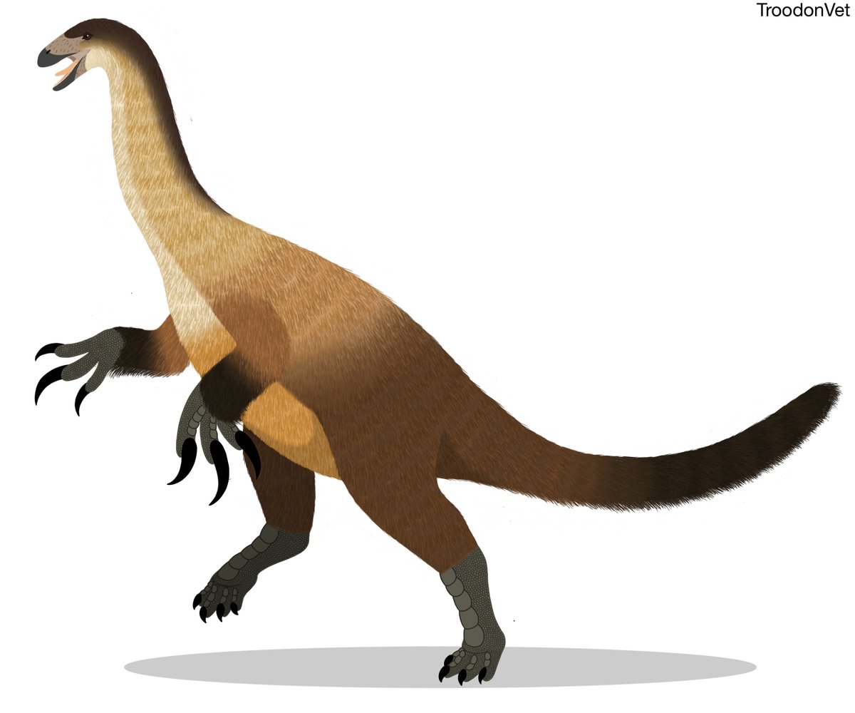 ERLIKOSAURUS andrewsi