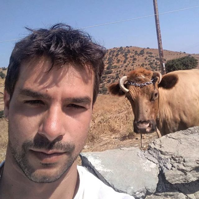 Marios Stamatis tweet media