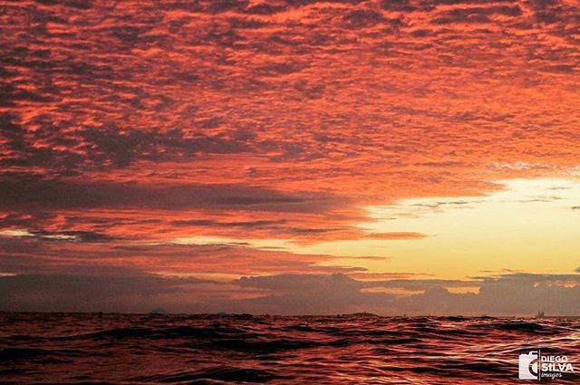 capixabadagema's tweet photo. Bom dia Capixabas
“Não esqueça de Deus nos tempos bons.” De um amanhecer em Vila Velha a caminho do D2!
.
Foto: @ds.images
.
.
.
.
. #bancadascapixabas #slab #canon #canonphotography #photography #photographer #waterphotography #waterphoto #surfphoto #surfphotogtaphy #surfp… https://t.co/dC4FiOlUC2