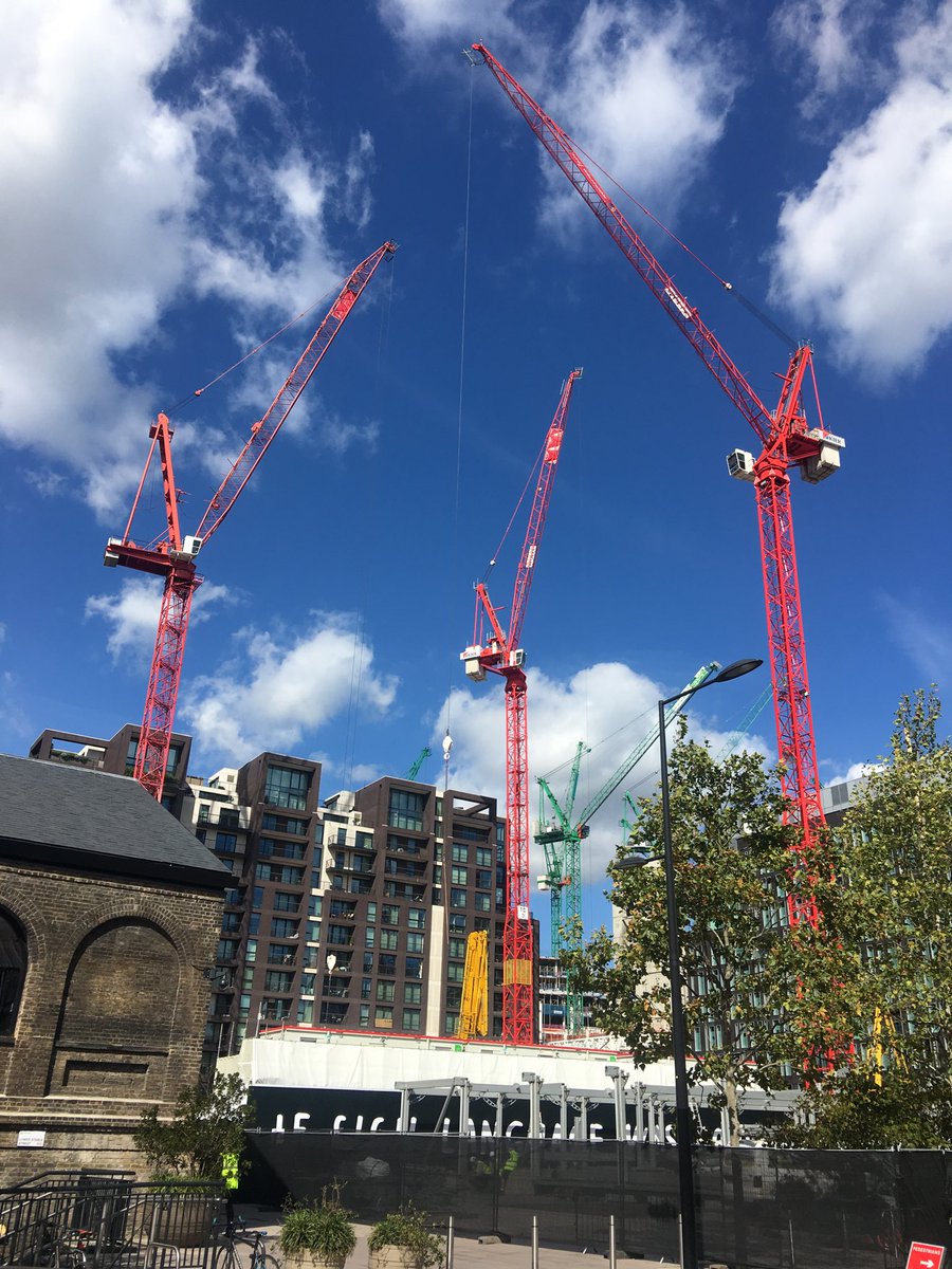 Fiona Esom tweet media