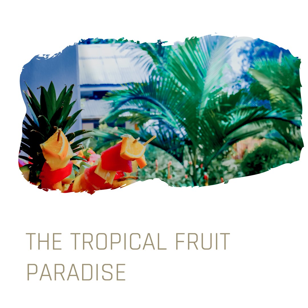 KampalaForest's tweet photo. Uganda as a safari destination is not only good for bird viewing and mountain climbing and gorilla trekking, the pearl of Africa is also a fruit basket! The variety of fruits is heaven for any fruit lover. https://t.co/4EHcgTkIxr
