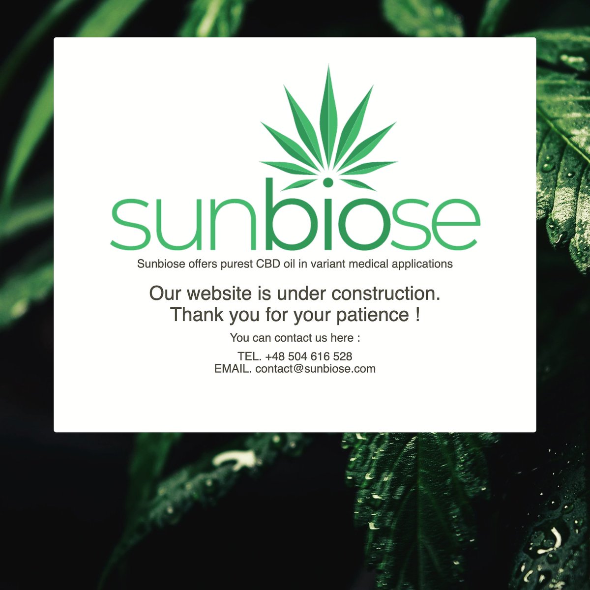 Sunbiose tweet media
