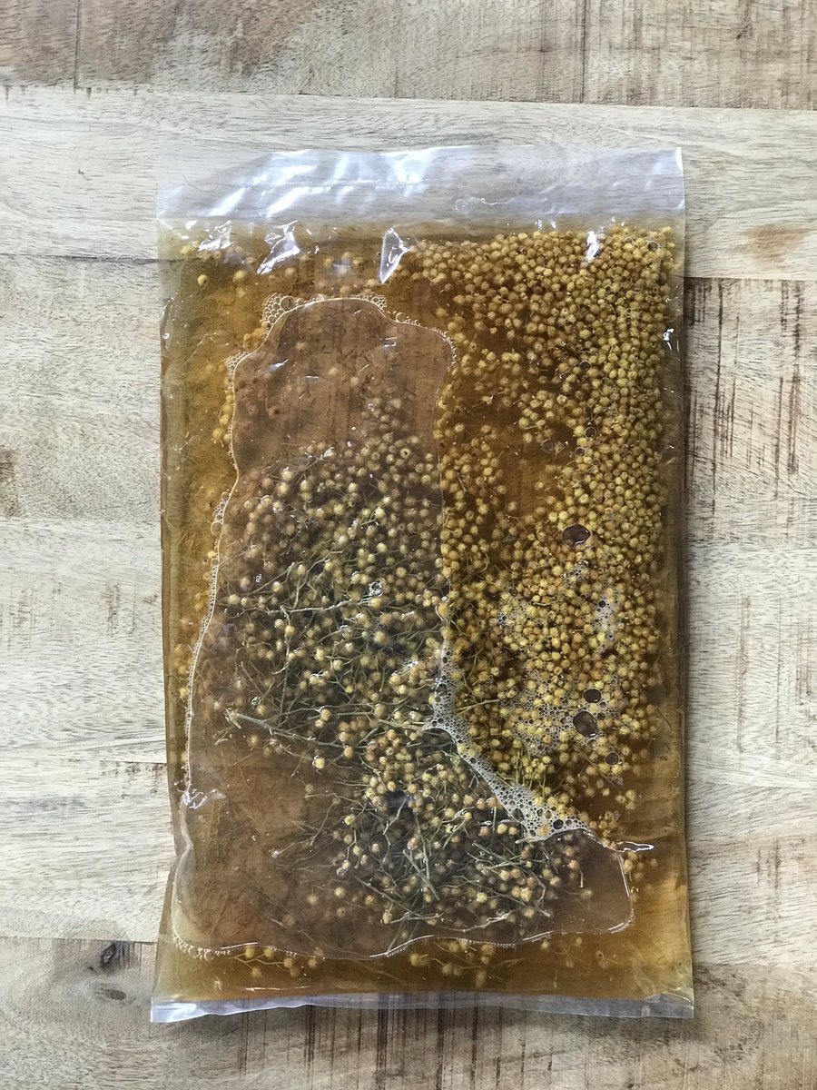 W A T T L E  W Y N E

For opening menu incorporating yellow wattle blossom currently in bloom into a fortified wine of sorts and to be paired with last seasons preserved berries as part of a changing of the seasons/backtothefuture style serve that will evolve with each menu. .