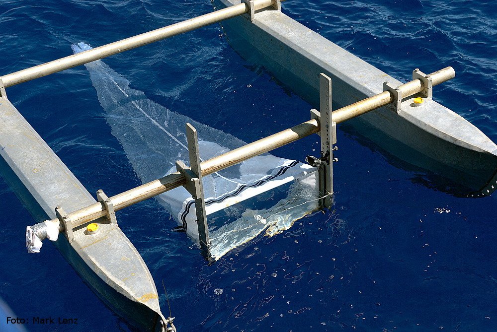 GEOMAR_en's tweet photo. This new blog article tells you how research on the expetition #POS536 at #RV_POSEIDON is progressing and what initial findings have been obtained on #plastic in the north atlantic garbage gyre. (The article is written in German.) #oceanblogs
https://t.co/zrcfGFAhTM https://t.co/V3ftSNSRQj