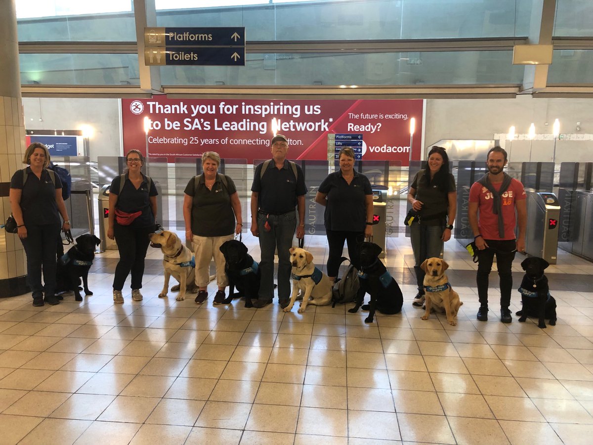 TheGautrain's tweet image. Thank you for choosing us as partner in your training programme ⁦@SAGuide_Dogs⁩ 🐾 you make us PROUD 🙌 Cheers to the volunteers #FutureGuideDogs #PupsOnBoard