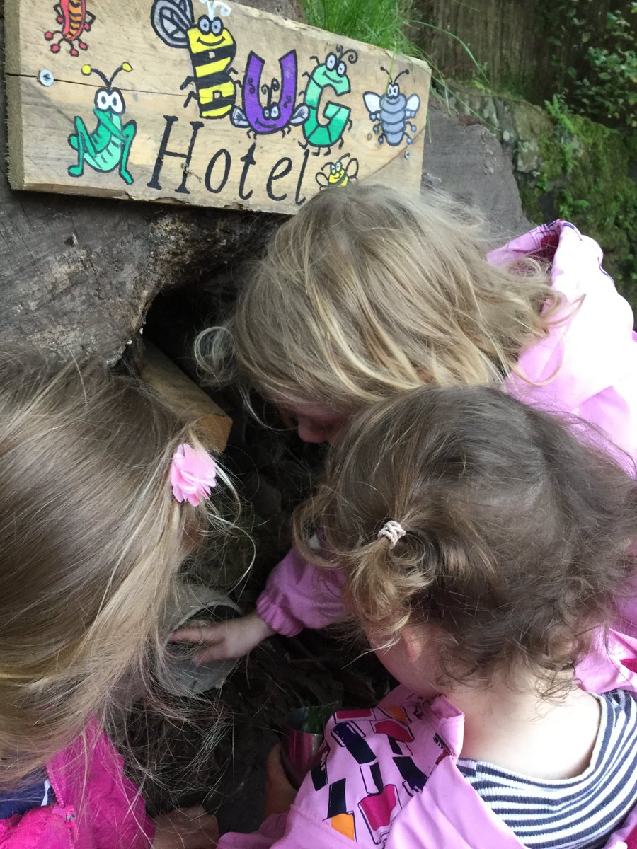 KAGreenForest's tweet photo. Our Bug Hotel has some customers....🐛☺️
Wonder if breakfast is included.............😂
#greenforestlove❤️🌲 https://t.co/9lXJXT7V79