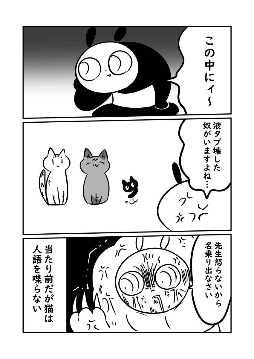 子猫が来た話　液タブ壊された、ついでに対応したら一昨日また同じ個所壊された　#ぬら次郎日記 