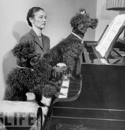 Vintage photos of animals playing piano.