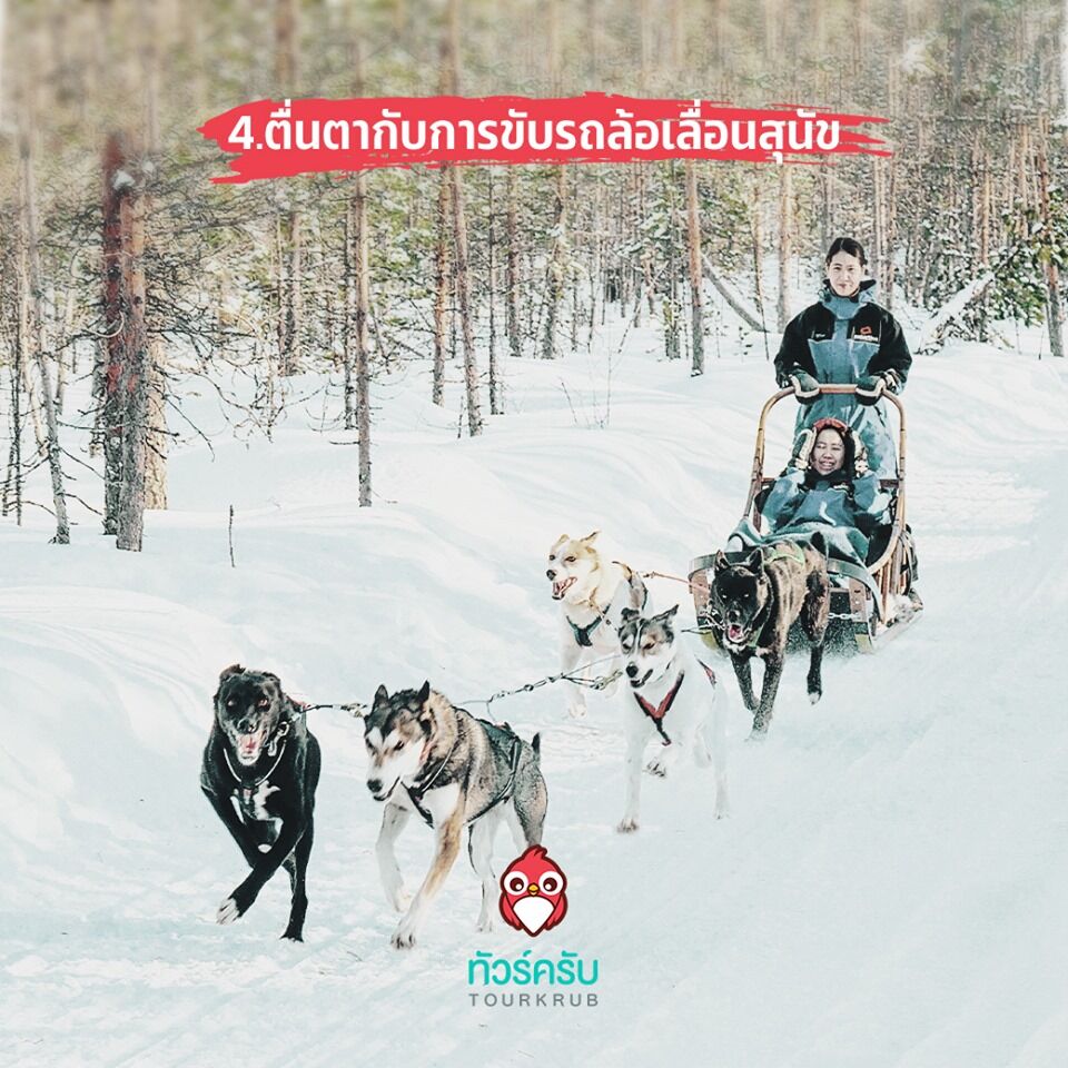 Tourkrub tweet media
