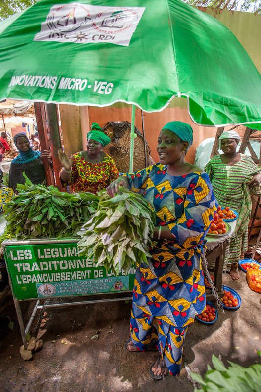 afs_asa's tweet photo. 4/5: Others involving practices like fertilizer #micro-dosing have lead to #agriculturaltransformation/ increased indigenous vegetable #production and #utilisation in #Benin and #Nigeria. Read more: https://t.co/tS2gs1vI4k. #AGRF2019 #GrowDigital #CIFSRF @IDRC_AFRIQUE @TheAGRF https://t.co/QqoAJ8xVjY